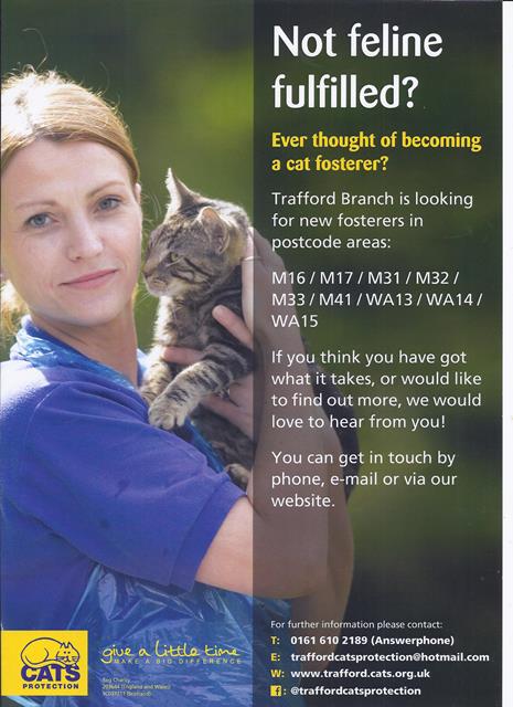 Volunteer poster